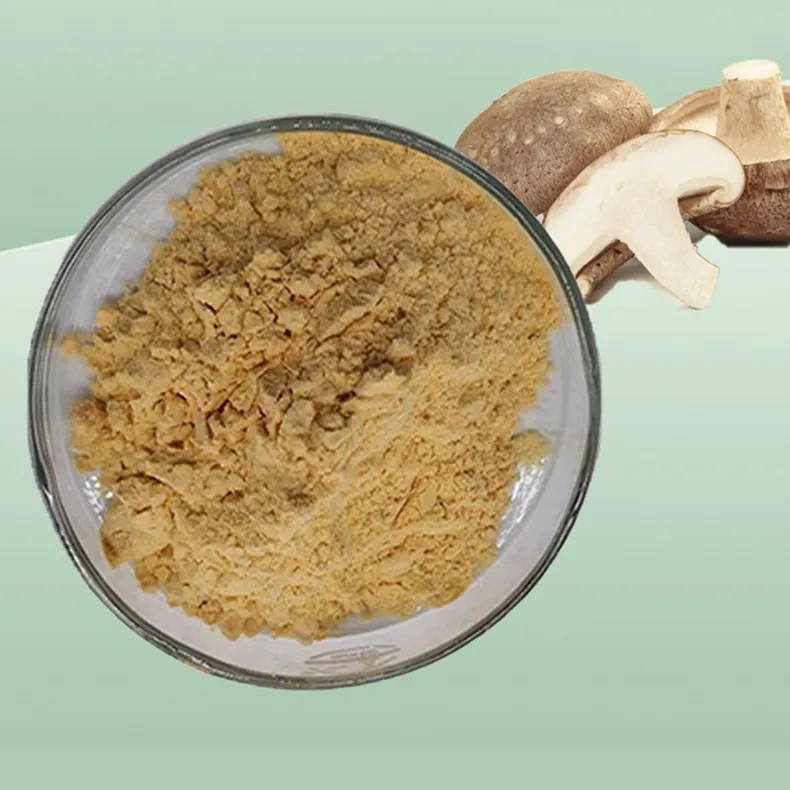 Lentinan Extract Powder