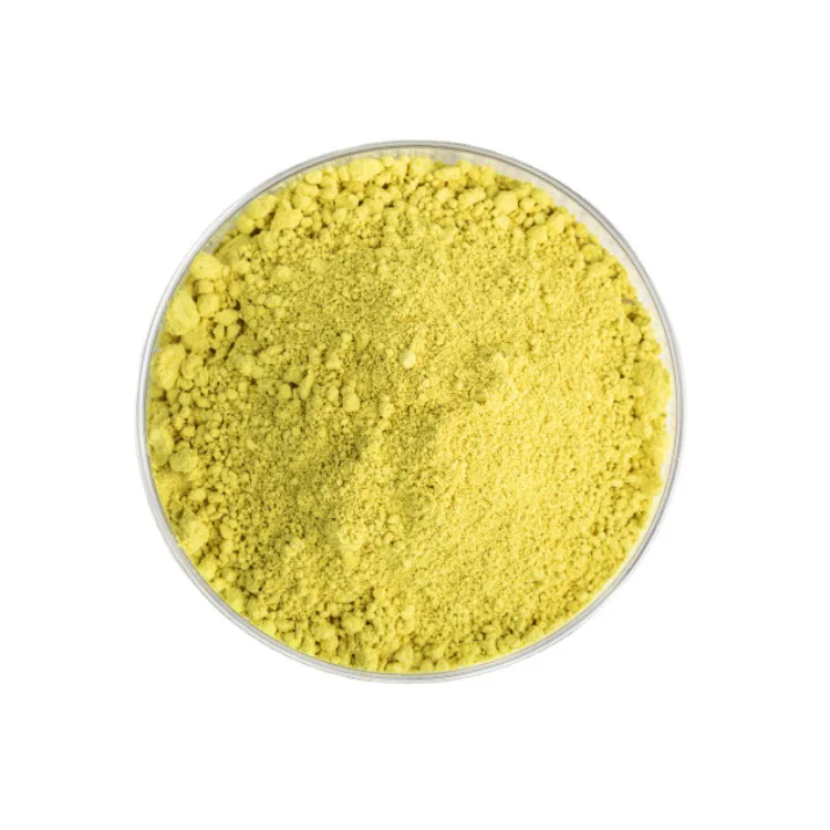 Quercetin Extract - Hyaluronic Acid Manufacturer