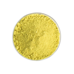 Quercetin Extract - Hyaluronic Acid Manufacturer