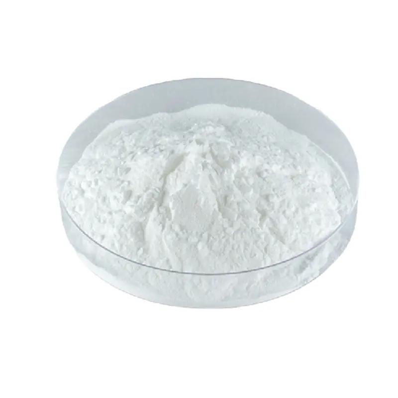 Bifidobacterium longum
