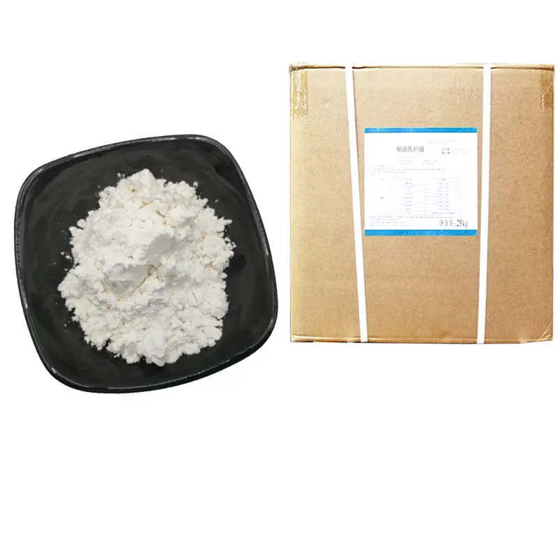 Lactobacillus bulgaricus 2