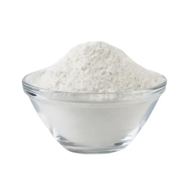 Lactobacillus casei 