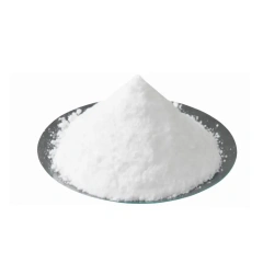 Bifidobacterium