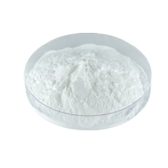 Bifidobacterium longum