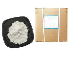 Lactobacillus bulgaricus