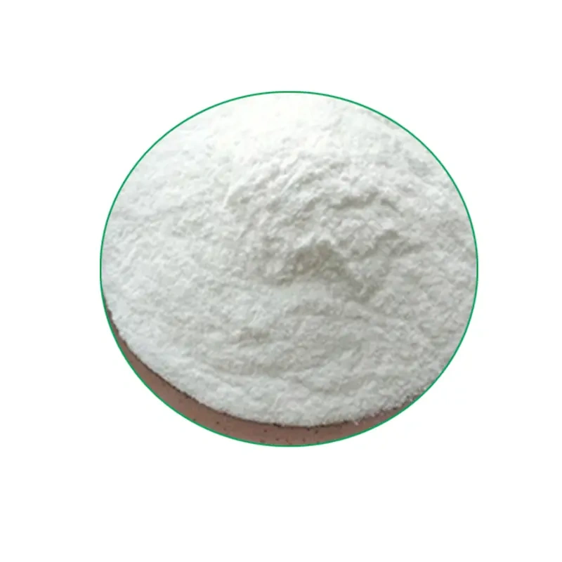 Lactobacillus casei 3