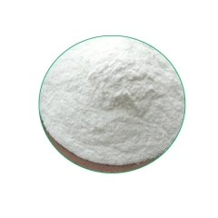 Lactobacillus casei 3