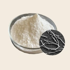 Lactobacillus bulgaricus
