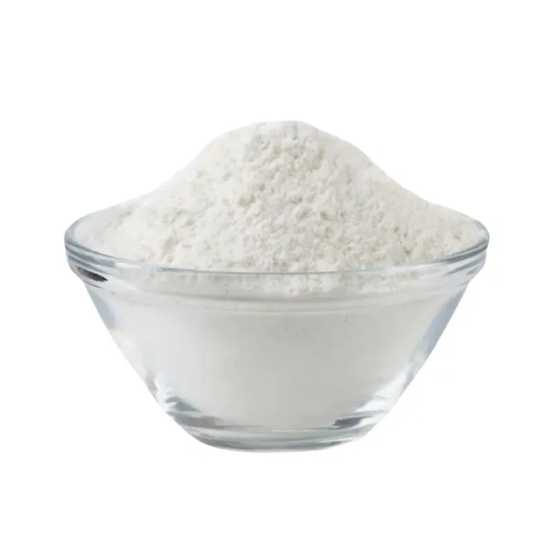 Lactobacillus casei