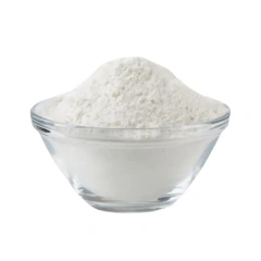 Lactobacillus casei
