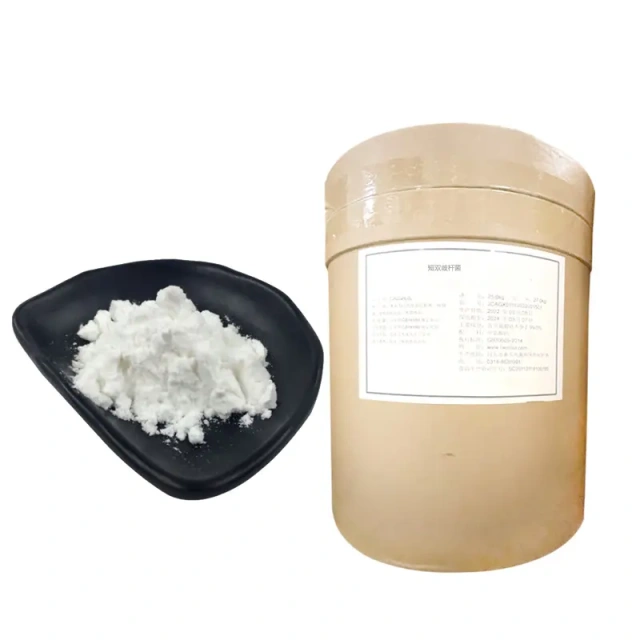 Bifidobacterium breve 2