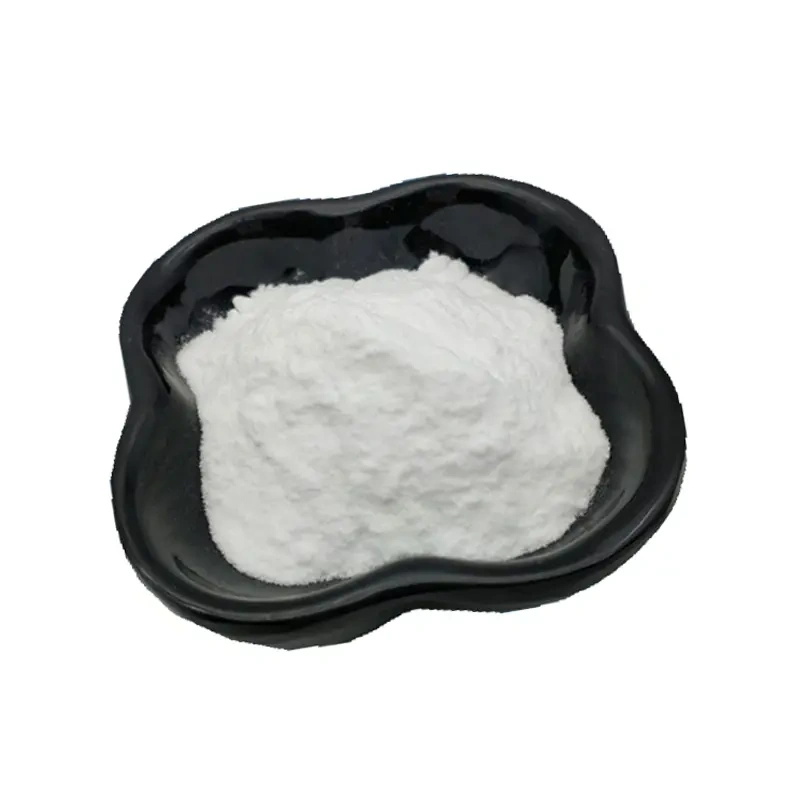 Bifidobacterium