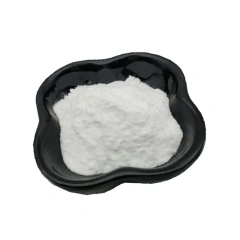 Bifidobacterium