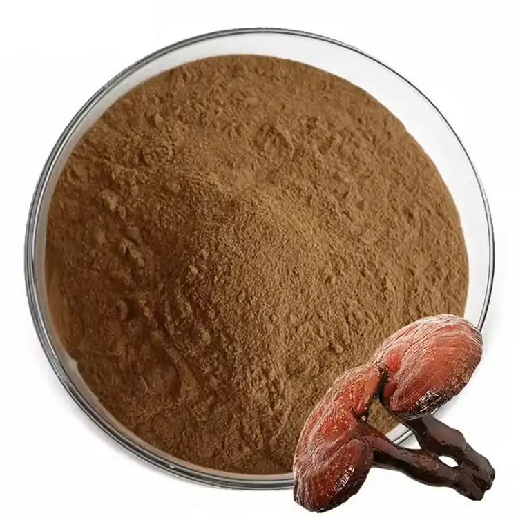 Lentinan Extract Powder