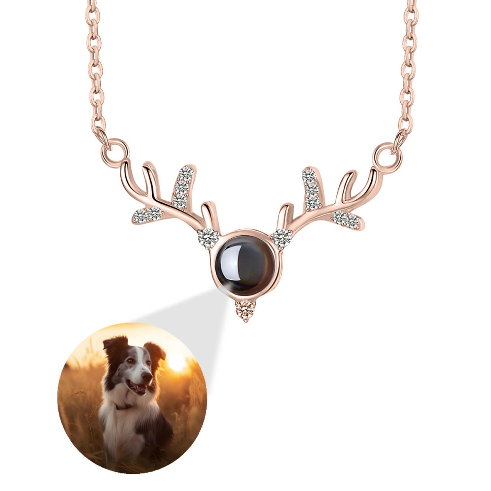 Antler Projection Necklace