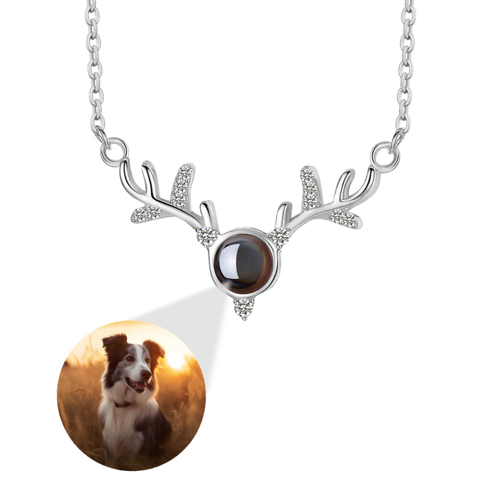 Antler Projection Necklace