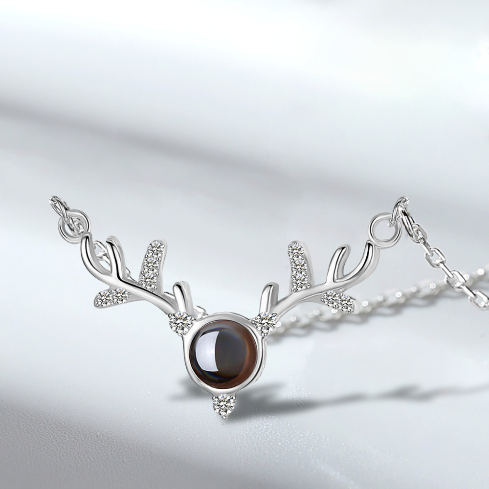 Antler Projection Necklace