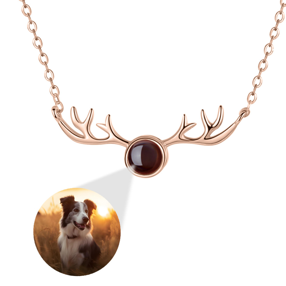 Antler Projection Necklace