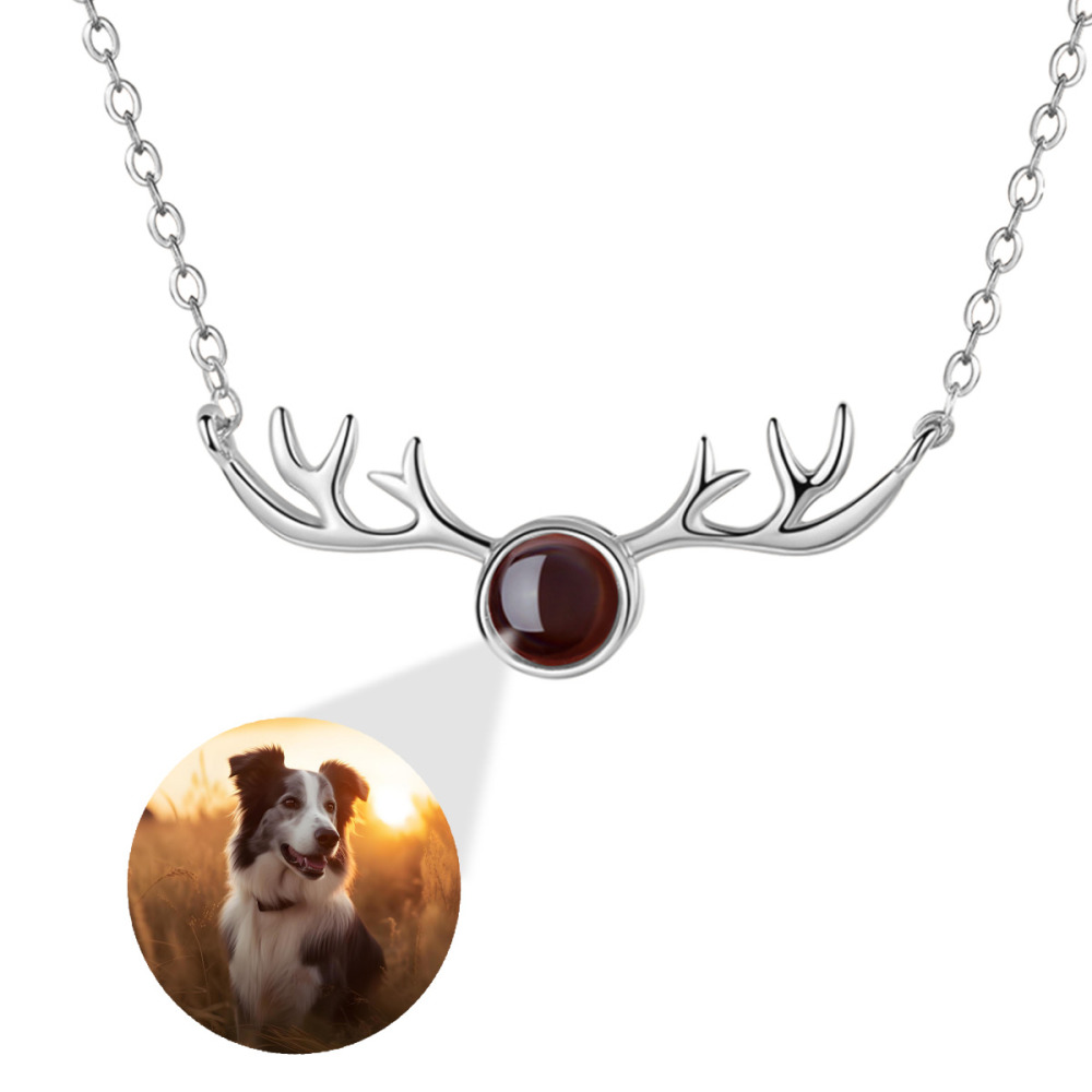 Antler Projection Necklace