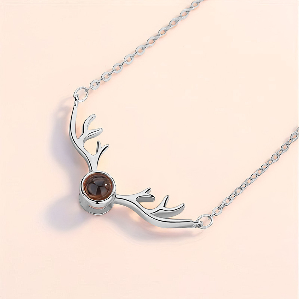 Antler Projection Necklace