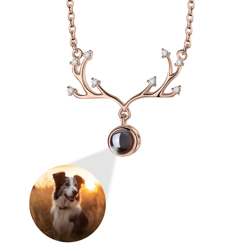 Antler Projection Necklace