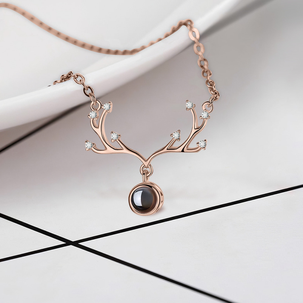 Antler Projection Necklace