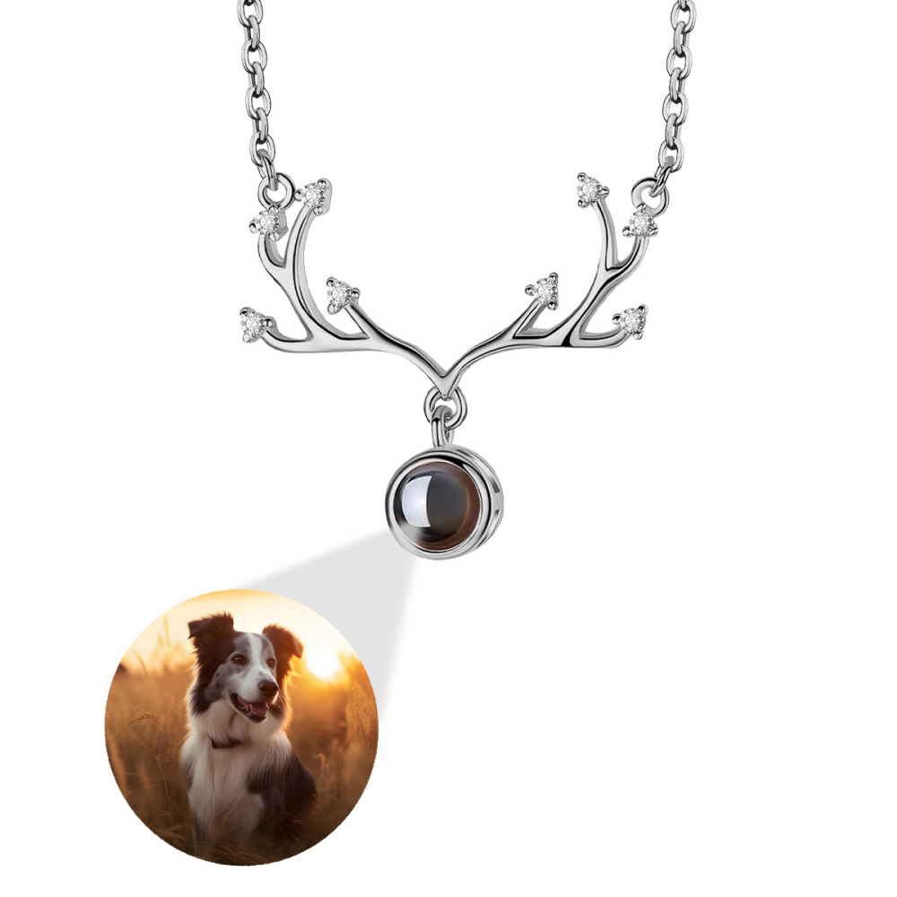 Antler Projection Necklace
