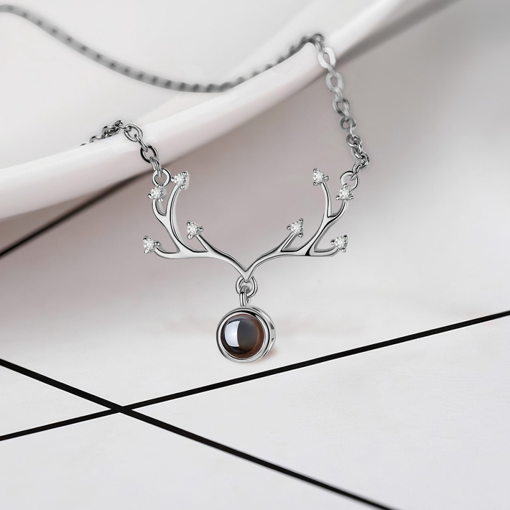 Antler Projection Necklace