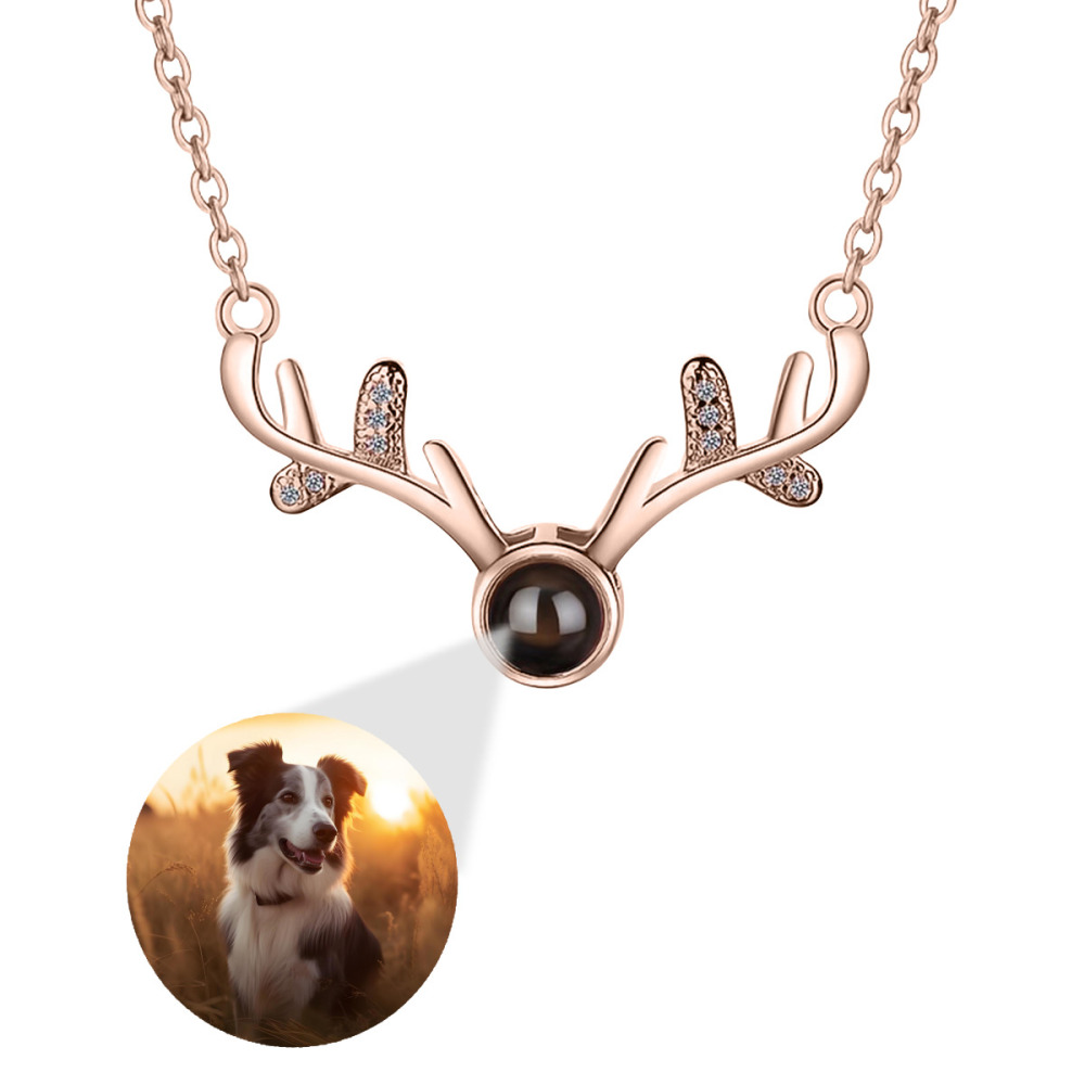 Antler Projection Necklace