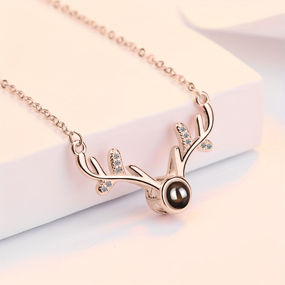 Antler Projection Necklace