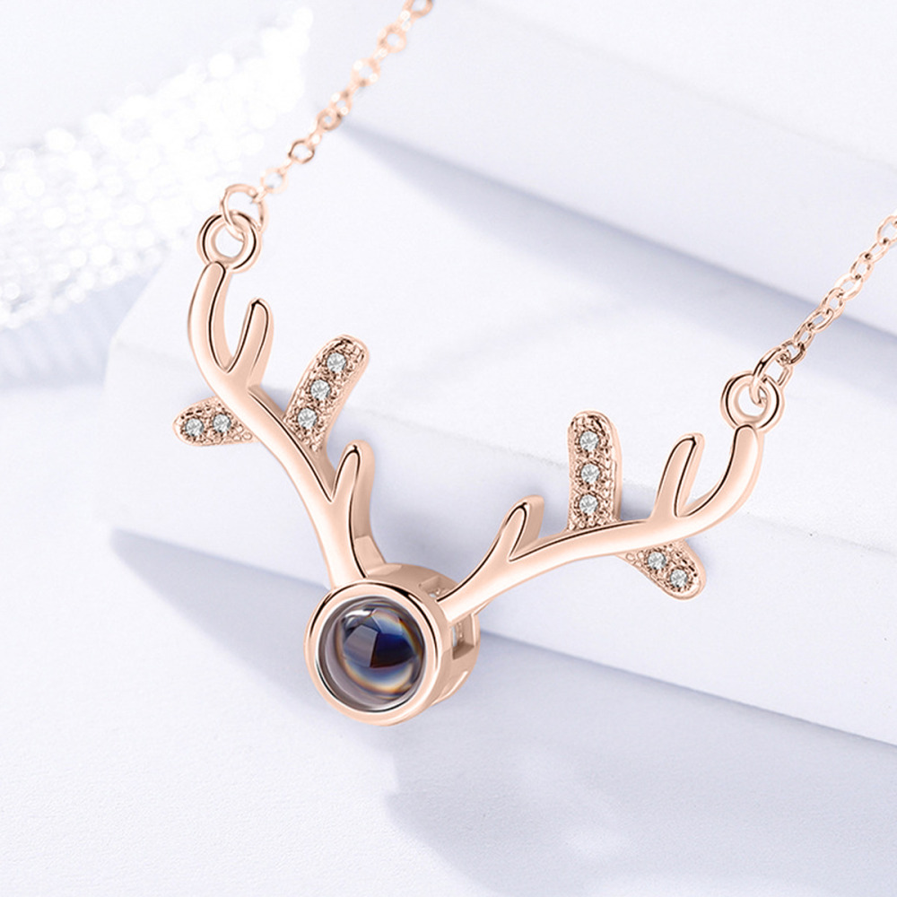 Antler Projection Necklace