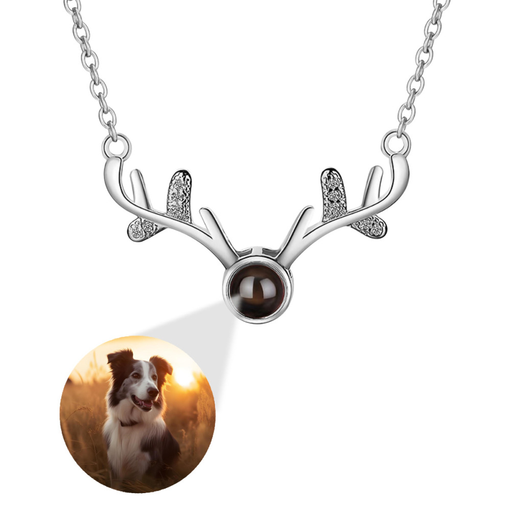 Antler Projection Necklace