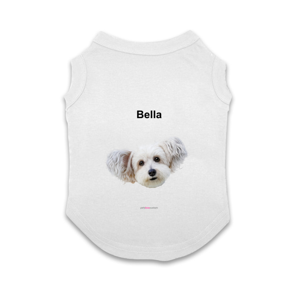 Pet Vest