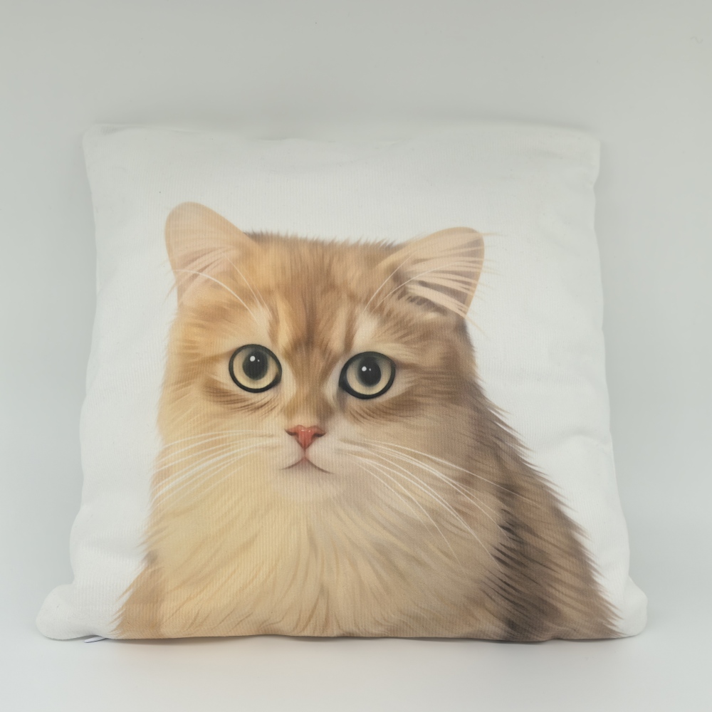 Pillow