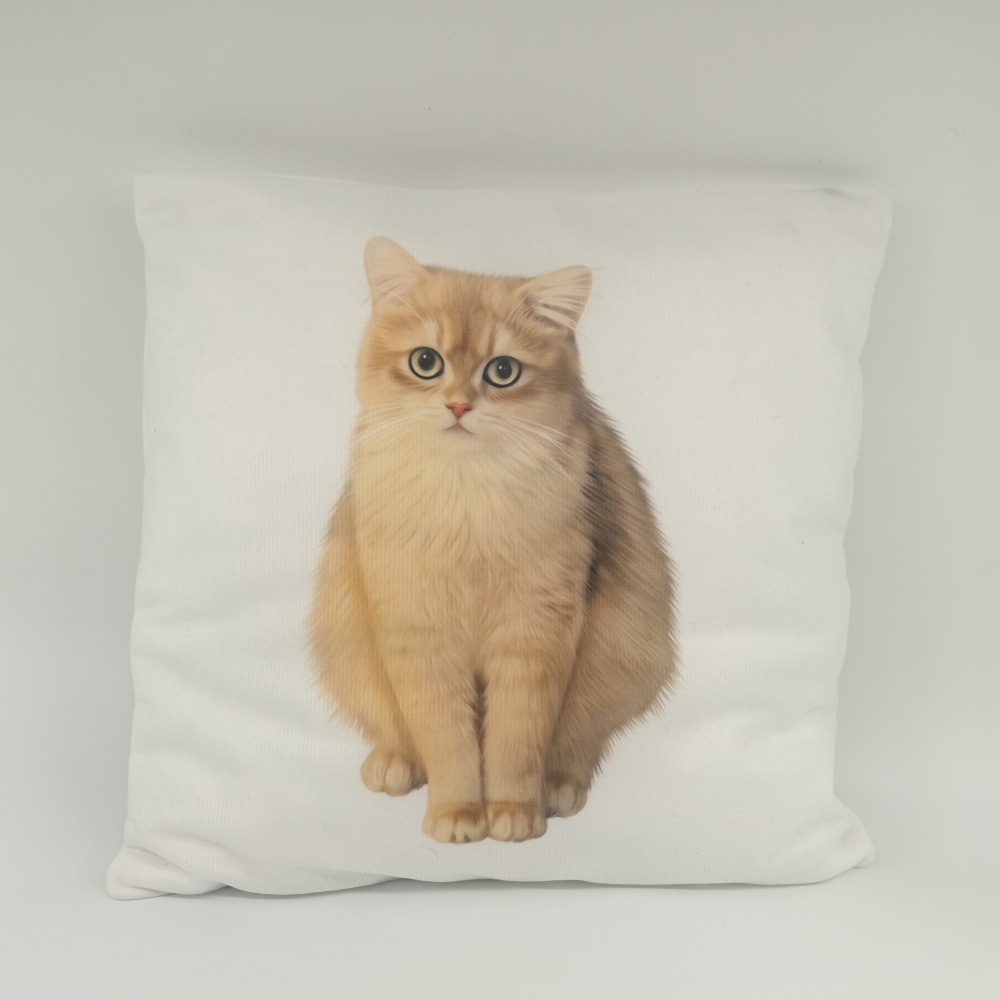 Pillow