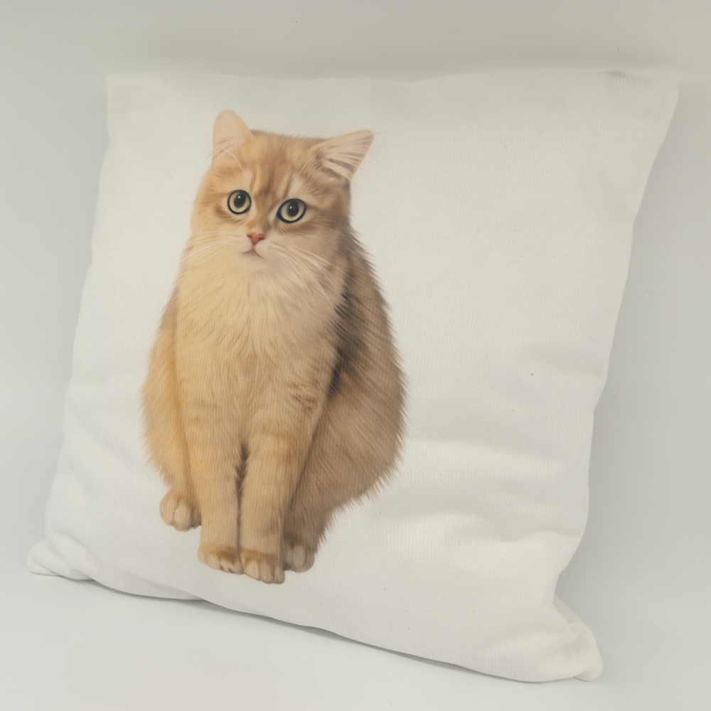 Pillow