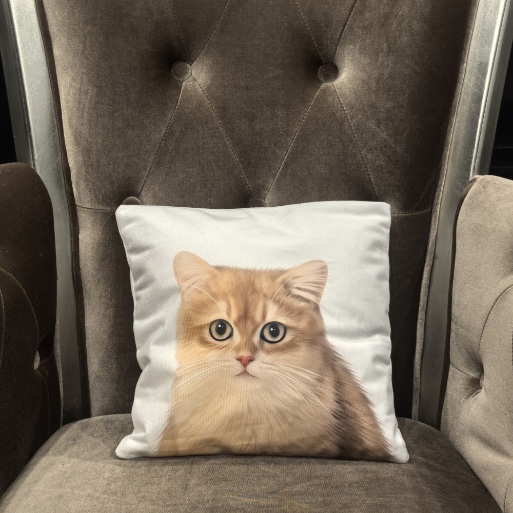 Pillow