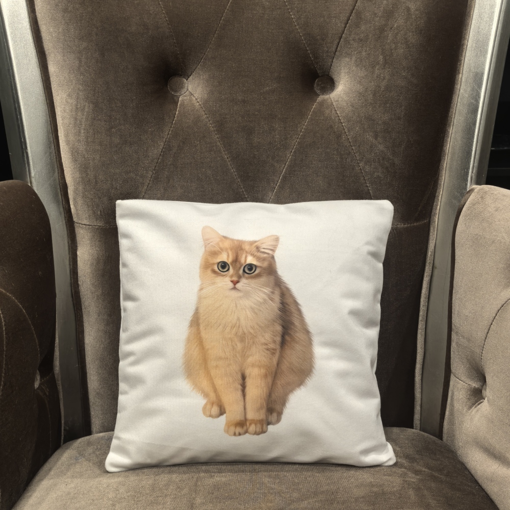 Pillow