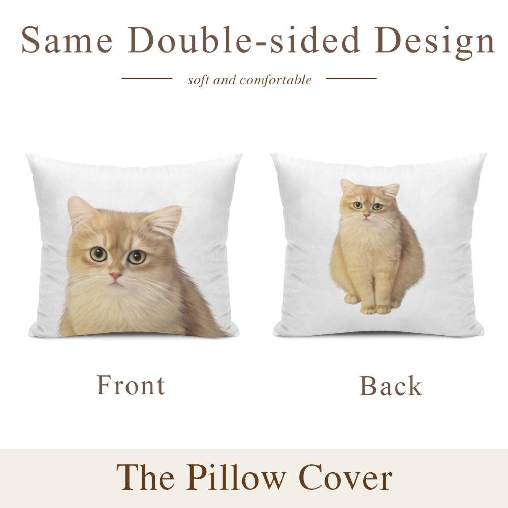 Pillow