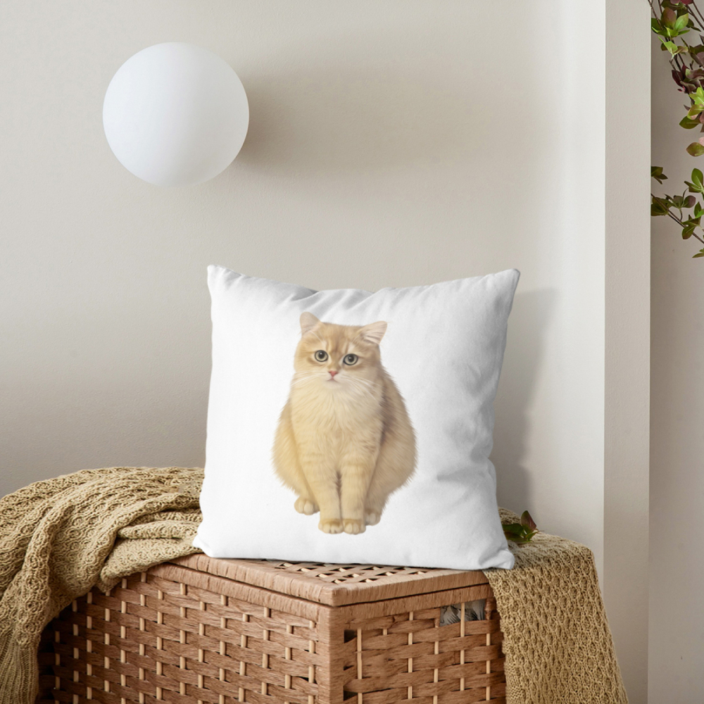 Pillow