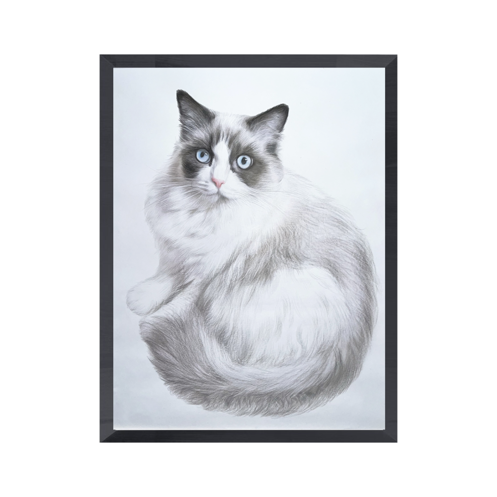 Color Pencil Portrait