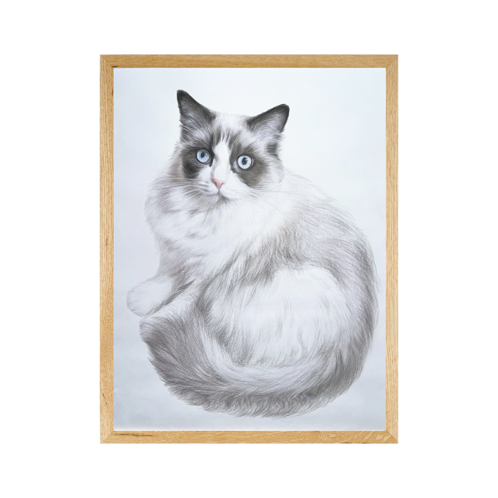 Color Pencil Portrait