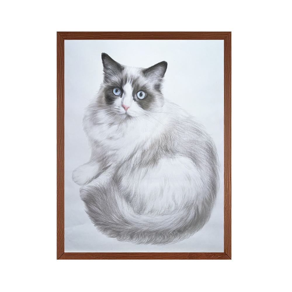 Color Pencil Portrait