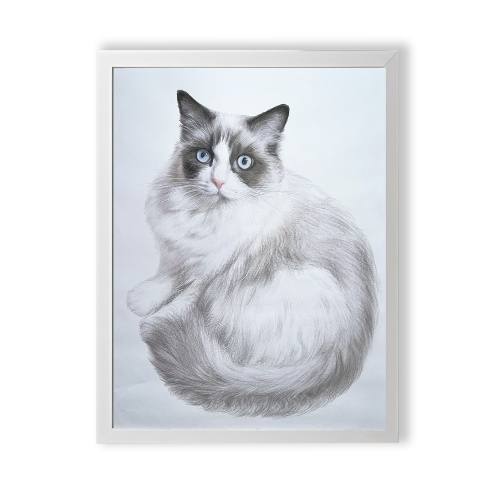 Color Pencil Portrait