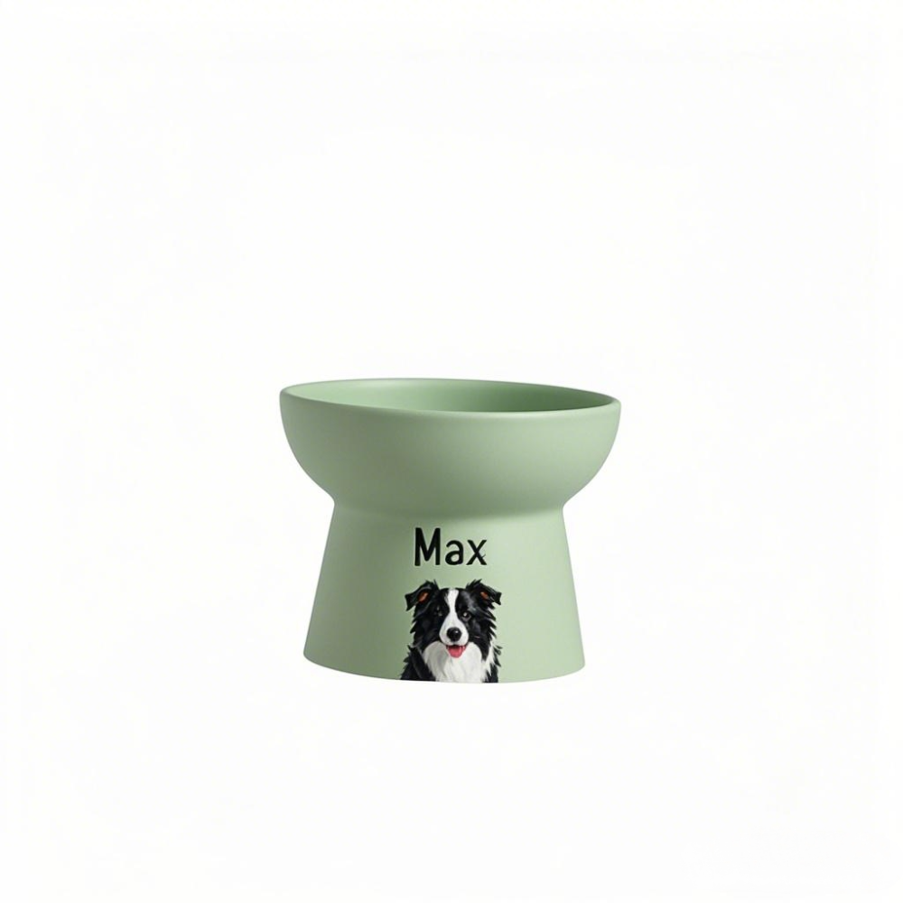 Custom Elevated Pet Bowl