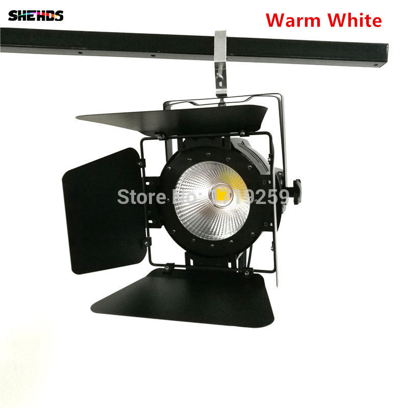 LED Par Light COB 100W with Barn Doors High Power Aluminium cool white and warm white Wash Strobe Effect Stage Lighting