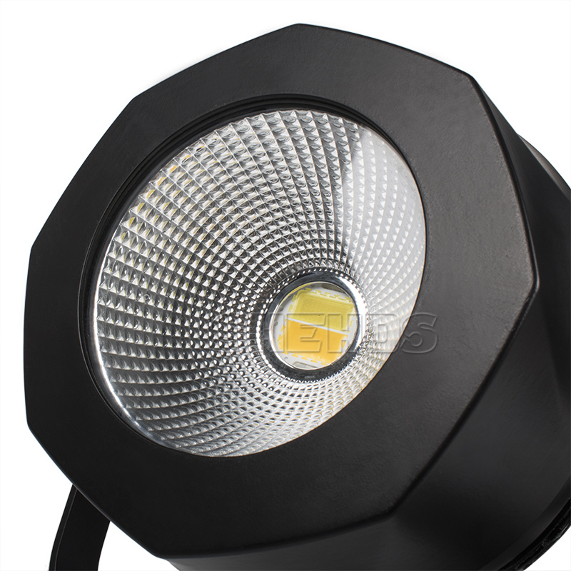 Aluminum Housing Waterproof LED Par COB 200W Cool/Warm White Light Professional Stage Outdoor Light