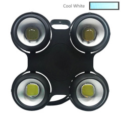Cool White