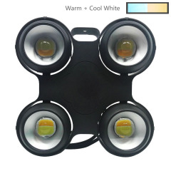 Cool and Warm White