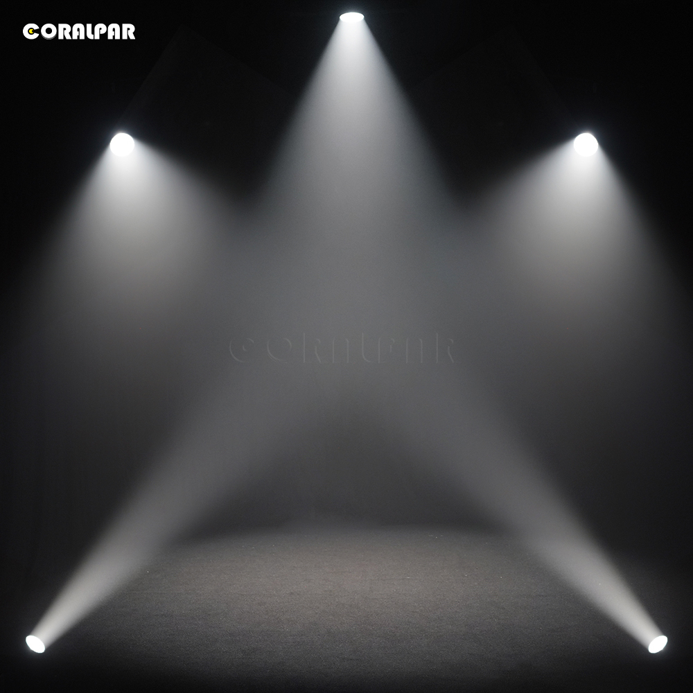 CORALPAR Waterproof LED Zoom&Wash Par 300W Cool&Warm White 2in1 Light（IP65) High Brightness for Church Theater Wedding Outdoor
